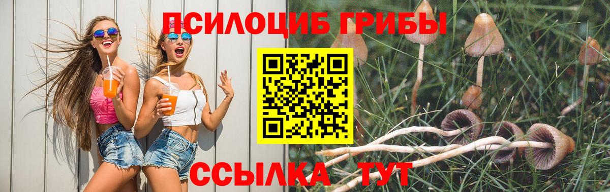 Галлюциногенные грибы прущие грибы Томск
